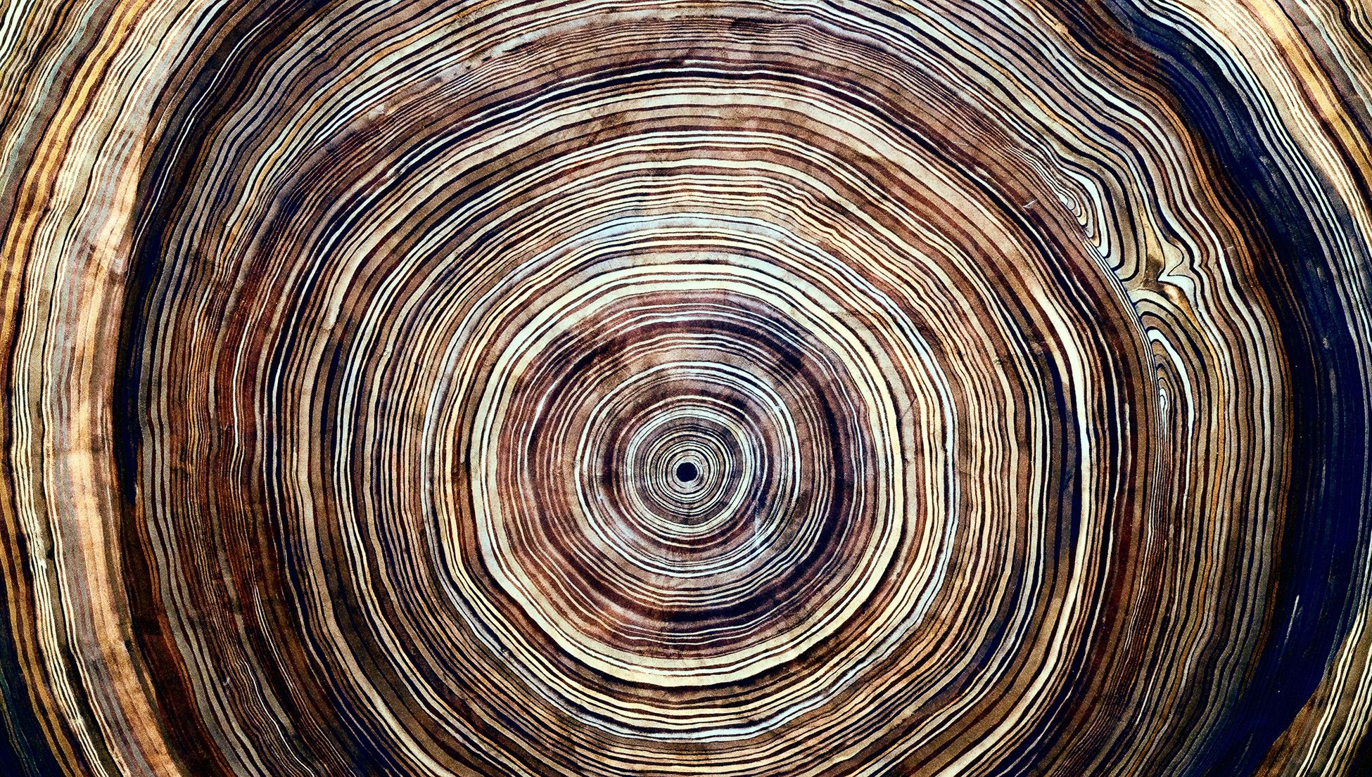 Wilfrid Sellars, sensory experience and the ‘Myth of the Given’ | Psyche